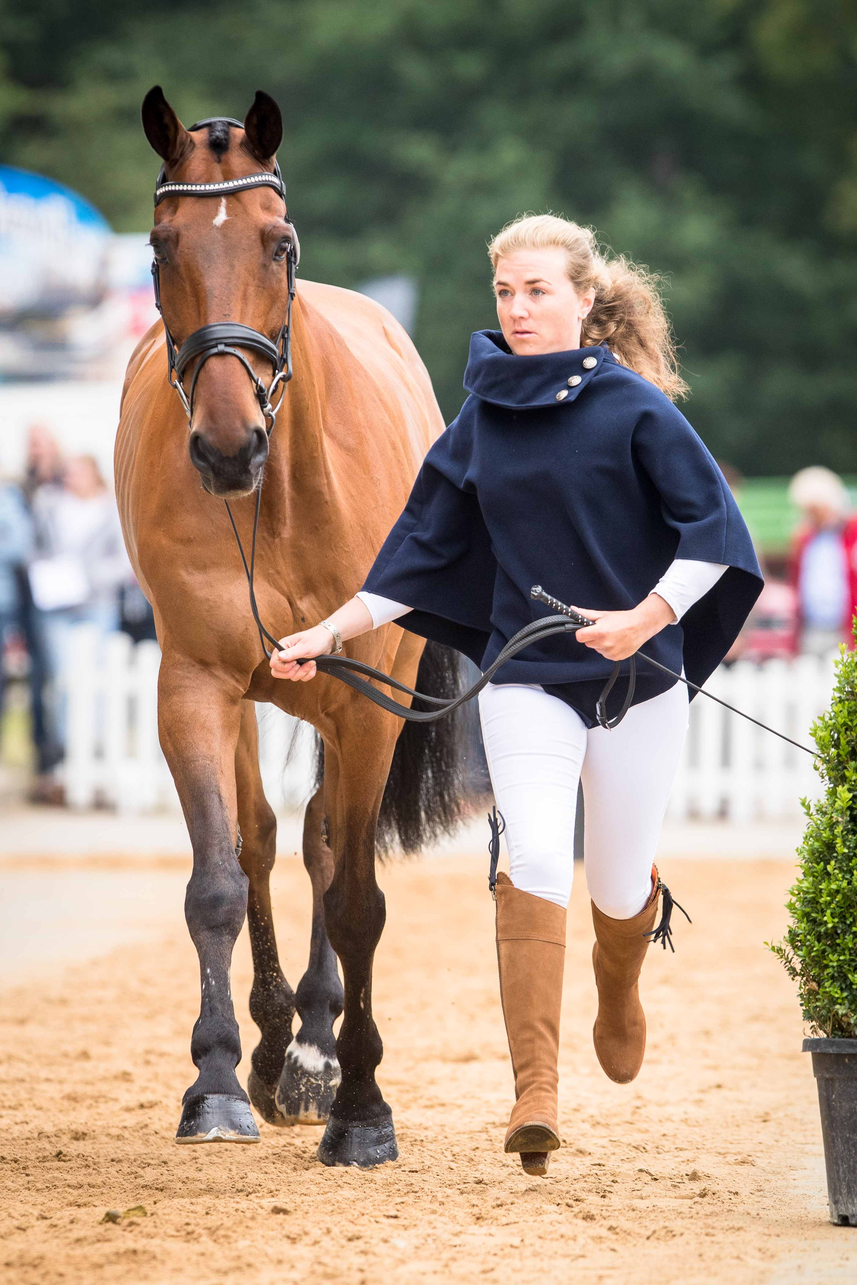 2017_06_18_Verfassung_CCI4_Honey_Kate_Fernhill_Now_Or_Never-026