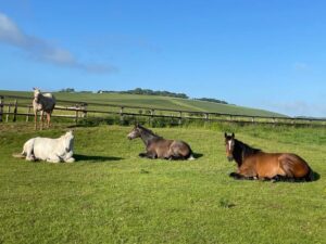 287256610_5172514459450756_2474016369122238761_n